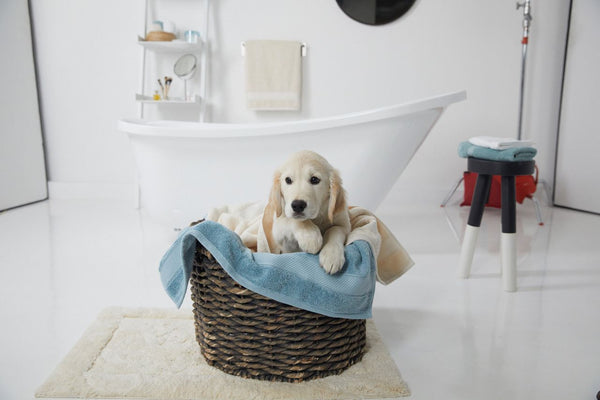 Opening the Door to Hygge Decor: Letting Nature In